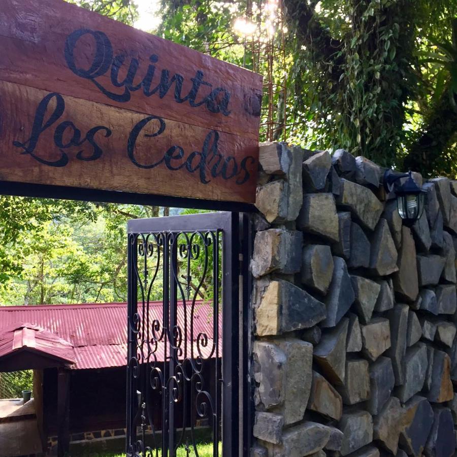 Finca Quinta Los Cedros Xilitla ภายนอก รูปภาพ